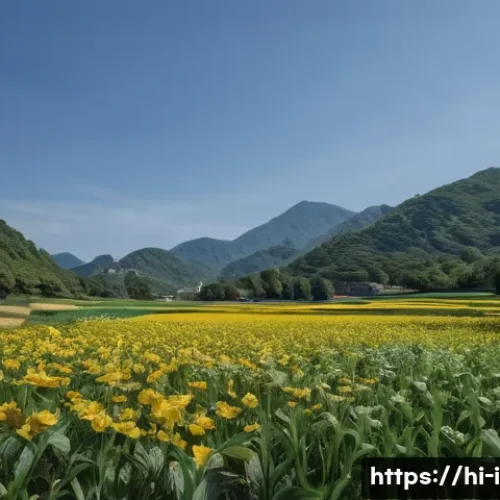 Home 20 스나이펠스네스 반도 여행기 관련 이미지 1